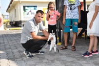 AKSARAY BELEDİYESİ - Aksaray Belediyesi Sokak Hayvanlarına Şefkat Eli Uzatıyor