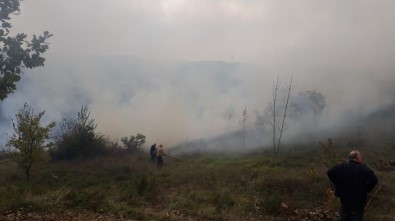Altınova'da Orman Yangını