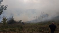 ÖRENCIK - Altınova'da Orman Yangını