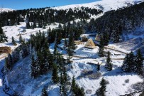 BUNGALOV - Çambaşı'nın Cazibesi Artıyor