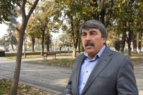 DÜZCE ÜNİVERSİTESİ - Düzce'de Çürümüş Ağaçlar Kesiliyor