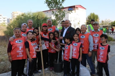 Erdemli'de Yeşil Alanlar Çoğalıyor