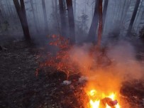 KARACAÖREN - Kastamonu'da 4 Hektarlık Ormanlık Alan Yandı