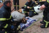 KALP MASAJI - Kedilerini Kurtarabilmek İçin Alevlerin Arasına Daldı