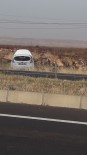 BEŞPıNAR - Lastiği Patlayan Araç Yoldan Çıktı Açıklaması 1 Yaralı