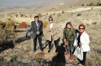 ORMAN MÜDÜRLÜĞÜ - Malatya'da 6 Bin Badem Ekimi