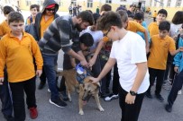 SOKAK HAYVANI - Okullara Sahiplendirilen Sokak Hayvanları Öğrencilerin İlgi Odağı Oldu