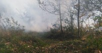 Ordu'da Orman Yangını Kontrol Altına Alındı Haberi
