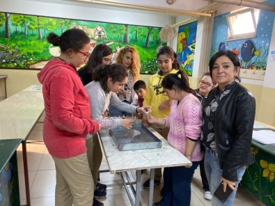 Ortaokul Öğrencileri Ve Down Sendromlular 'Suyun Gücü' Projesinde Buluştu
