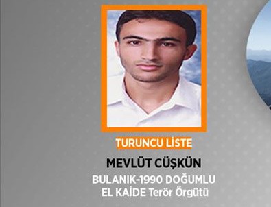 Terör örgütü El Kaide üyesi İstanbul'da yakalandı