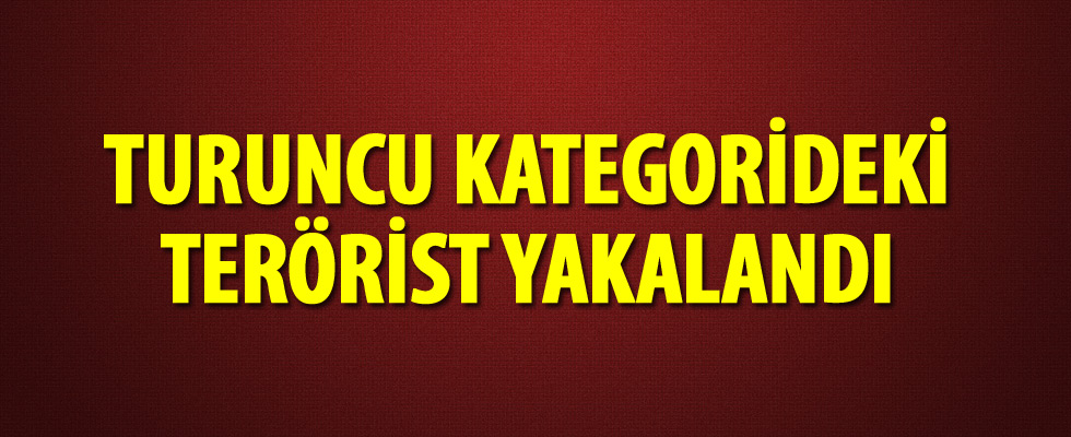 Terör örgütü El Kaide üyesi İstanbul'da yakalandı
