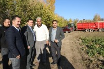 ULALAR - Vali Arslantaş'tan Çiftçilere Ziyaret
