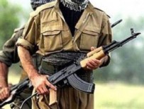 Gri listedeki terörist etkisiz hale getirildi