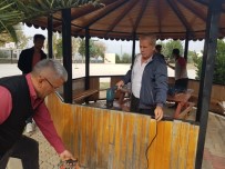 KIRLANGIÇ - Kameriyede Kırlangıç Kurtarma Operasyonu