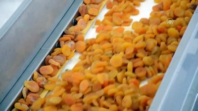 Kuru Kayısı Elektronik Ortamda Senetle Satılabilecek