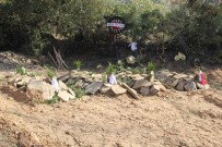 ÖLENLERİN YAKINLARI - Öldürülen 4 Aile Üyesi Yan Yana Gömüldü