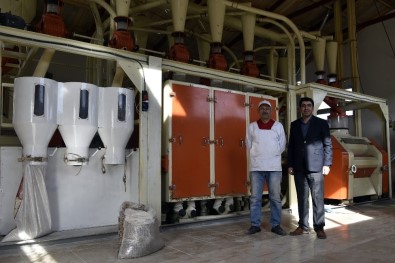 Türkiye'nin İlk Karabuğday Un Ve Bulgur Tesisi Gümüşhane'de Üretime Başladı
