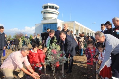 Zeytin Fidanları Koca Seyit Havalimanı'nda Toprakla Buluştu