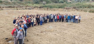 ADÜ Öğrencileri 20 Bin Fidan Dikti