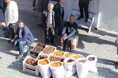 Bakan Pakdemirli'nin Açıklamaları Malatyalı Kayısı Üreticilerini Sevindirdi