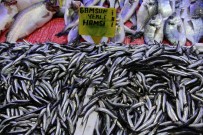 BARBUNYA - Balık Fiyatları Havaya Endeksli