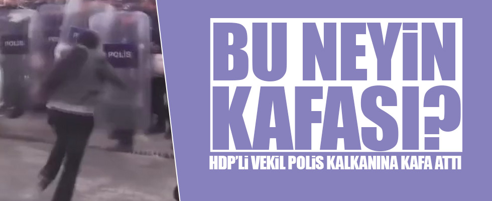 HDP'li millevekili polis kalkanına kafa attı