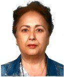 RECEP YAZıCıOĞLU - Söke Kadın Meclisi'nde Muradiye Akçavlı Da Aday