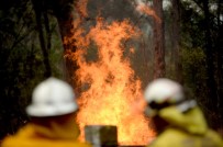 QUEENSLAND - Avustralya'da Orman Yangınlarıyla Mücadele Sürüyor