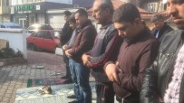 BOŞNAK - Cami Cemaatinin Kedi Sevgisi Takdir Topladı