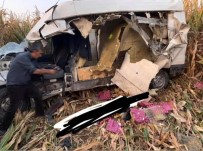 TİCARİ ARAÇ - Ceylanpınar'da Trafik Kazası Açıklaması 1 Ölü