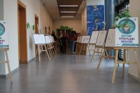 KARİKATÜR - 'Çocuk Kitapları Şenliği' SGM'de Düzenlendi