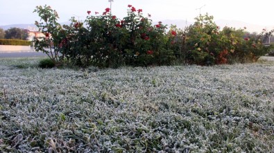 Erzincan'da Sıcaklık Sıfırın Altına Düştü