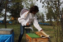 DÜZCE ÜNİVERSİTESİ - Eskiden Çöpe Atılan Propolisler Antibiyotik Olarak Kullanılıyor