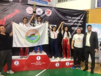 NECATTIN DEMIRTAŞ - Sakarya Kick Boks Turnuvası'na İlkadım Damgası
