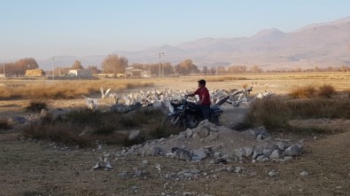 13 Yıldır Kurulan Dostluk Görenleri Şaşırtıyor