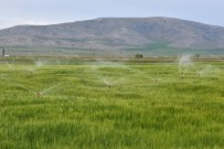 DEVLET SU İŞLERİ GENEL MÜDÜRLÜĞÜ - Aksaray'da 129 Bin 500 Dekar Tarım Arazisi Sulandı