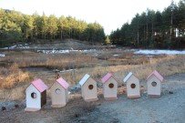 ORMANA - Bir Kuş Ta Sen Barındır