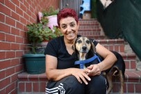 KEMOTERAPI - Kanserli Köpek Hem Sağlığına Hem Yuvaya Kavuştu