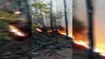 Kastamonu'da Orman Yangını