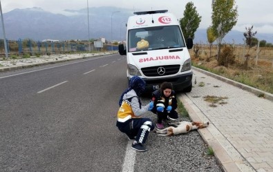 Konya'da 112 Çalışanları 'Paşa' İçin Gözyaşı Döktü