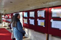 NIMET BAKI - Medical Park Karadeniz Hastanesi'nden Anlamlı Etkinlik