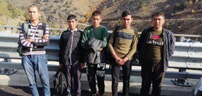 Niğde'de 5 Düzensiz Göçmen Yakalandı