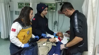 Samsun'da Otomobil Ağaca Çarptı Açıklaması 4 Yaralı