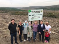 OKUL MÜDÜRÜ - Beşir Balcıoğlu Anadolu Lisesi Öğrencilerinden Hatıra Ormanı