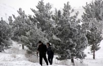 Doğu Anadolu'da Soğuk Hava Açıklaması Göle - 14 Haberi
