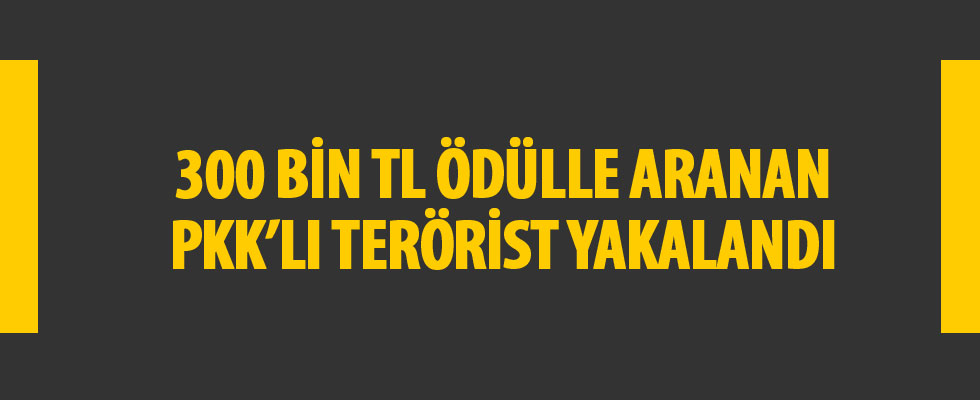 Diyarbakır'da gri kategoride aranan terörist Semra Tuncer yakalandı