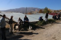 Köylüler Koyun Sürülerinden Dertli