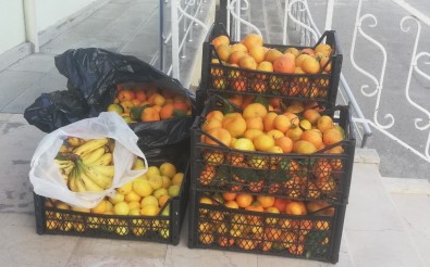 Pazar Yerinden Çaldığı Meyveleri Satarken Yakalandı
