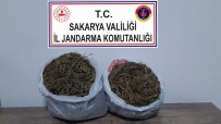 Sakarya'da Esrar Operasyonu Açıklaması 1 Tutuklama