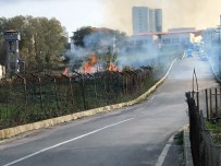 SINOP CEZAEVI - Üniversitenin Dibinde Ot Yaktılar